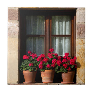 Fensterheber in Blume Fliese