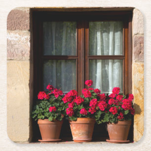 Fensterheber in Blume Rechteckiger Pappuntersetzer