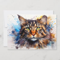 Feral Maine Coon