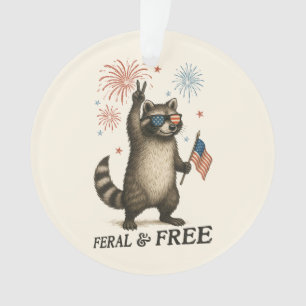 Feral Mais Fireworks Gratuit Feral Raccoon 4 juill