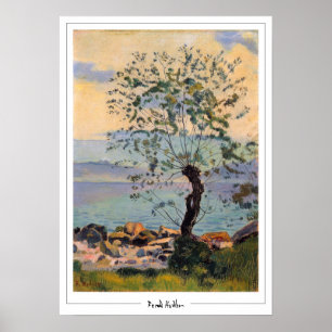 Ferdinand Hodler Zedign Kunstposter #52 Poster