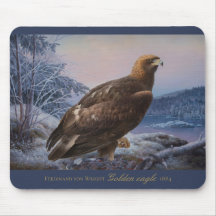 Ferdinand von Wright Golden Adler 1884 Wildlife