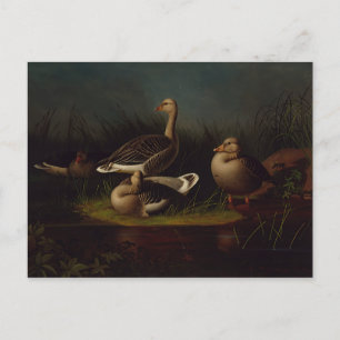 Ferdinand von Wright - Griechen Postkarte