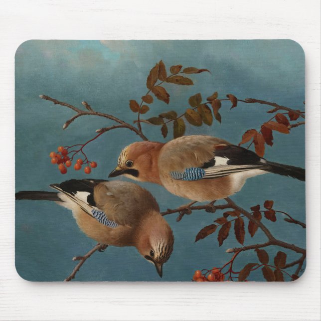 Ferdinand von Wright - Jay Mousepad (Vorne)