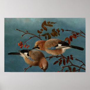 Ferdinand von Wright - Jay Poster