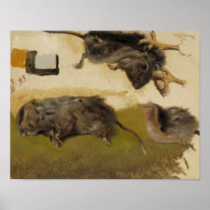 Ferdinand von Wright - Rodents Poster