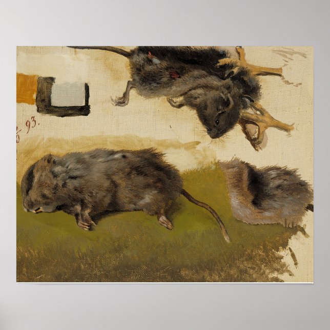 Ferdinand von Wright - Rodents Poster (Vorne)