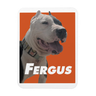 Fergus, den die Friseure verfolgen Magnet