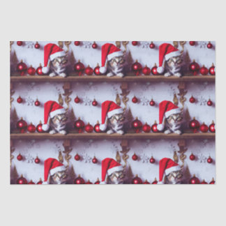 Ferienhaus Kitty - Weihnachtskatzenpapier Seidenpapier