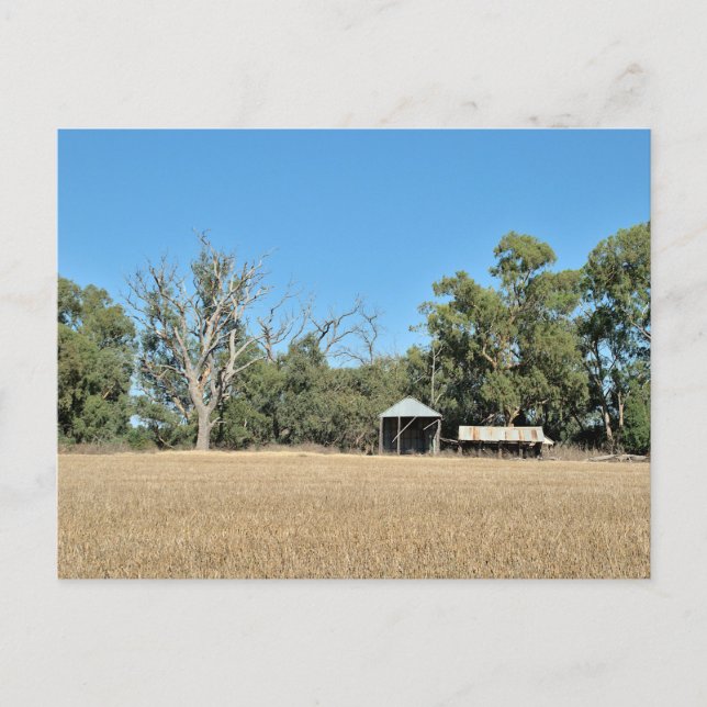 Ferienpostkarte Postkarte (Vorderseite)