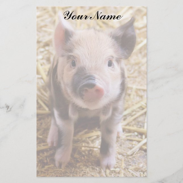 Ferkel Briefpapier (Vorderseite)