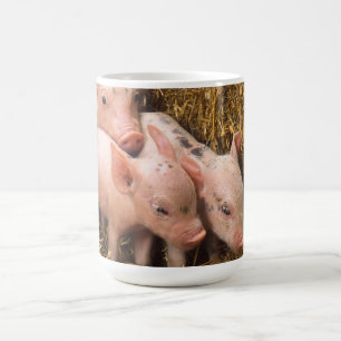 Ferkel Kaffeetasse