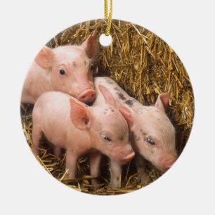 Ferkel Keramikornament