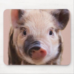 Ferkel Mousepad