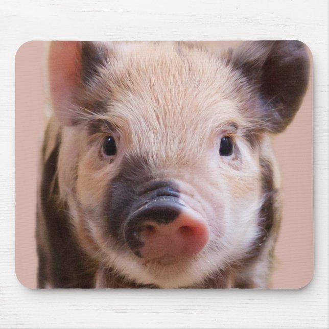 Ferkel Mousepad (Vorne)