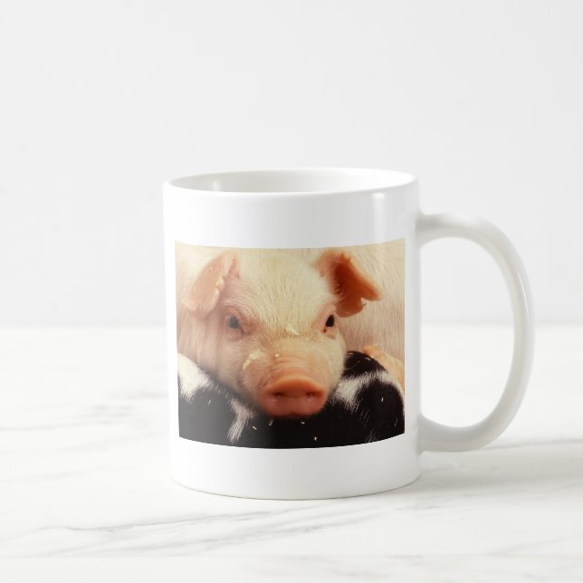 Ferkel-Schwein-Gesichts-Schnauze Kaffeetasse (Rechts)