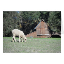 Ferme de Californie