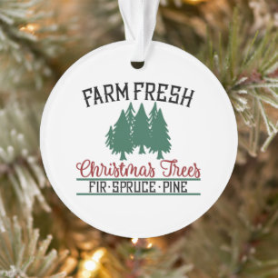 Ferme Des Arbres De Noël Fraîches Pin D'Épinett