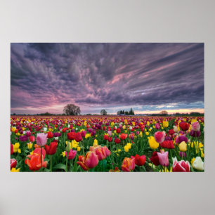 Ferme Tulip à Woodburn Oregon Poster de saison de 