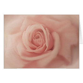 Fermer les cartes Rose Rose