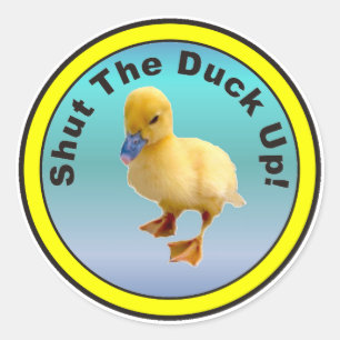 Fermez Le Sticker Du Canard