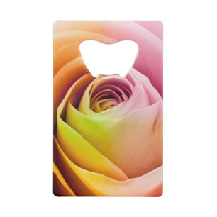 Fermez-vous des pétales de rose colorés
