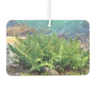 Fern am Meer Autolufterfrischer