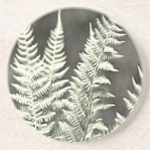 Fern Artistic Abstract
