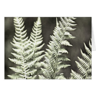 Fern Artistic Abstrait
