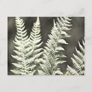 Fern Artistic Abstrakt Postkarte