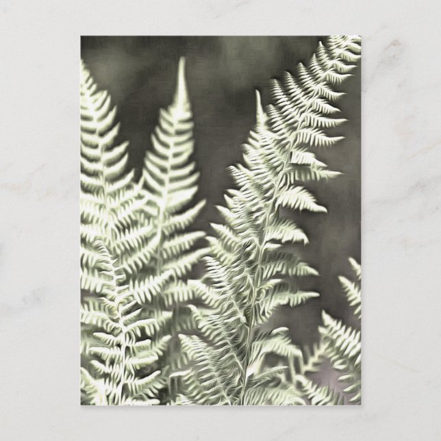 Fern Artistic Abstrakt Postkarte (Vorderseite)
