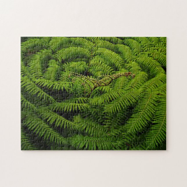 Fern-Blätter (Horizontal)