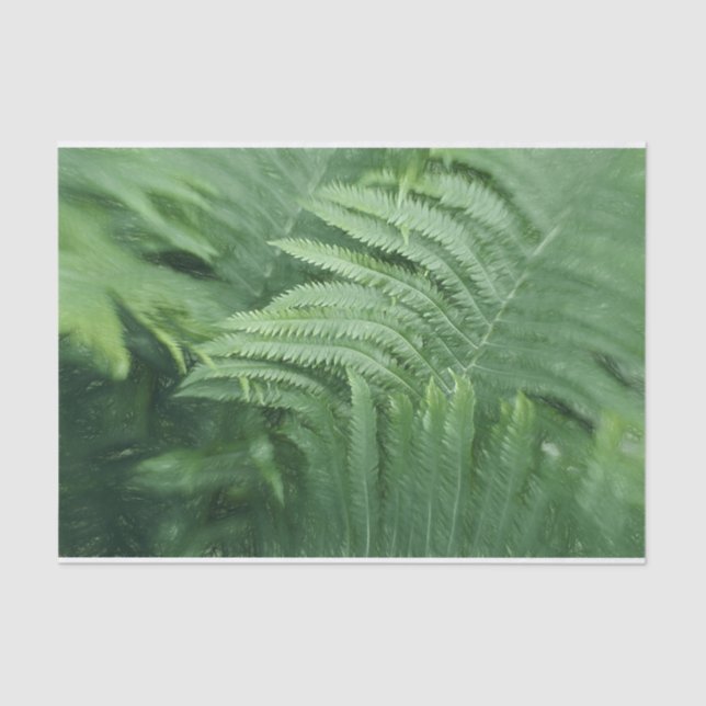 Fern Blätter Botanische Vegetation Seidenpapier (Vorderseite)