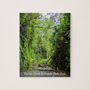 Fern Canyon Green Walls in Redwoods Nationalpark