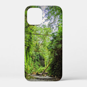 Fern Canyon Green Walls in Redwoods Nationalpark Case-Mate iPhone Hülle
