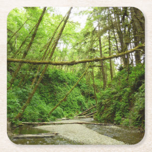 Fern Canyon I im Redwood National Park Rechteckiger Pappuntersetzer