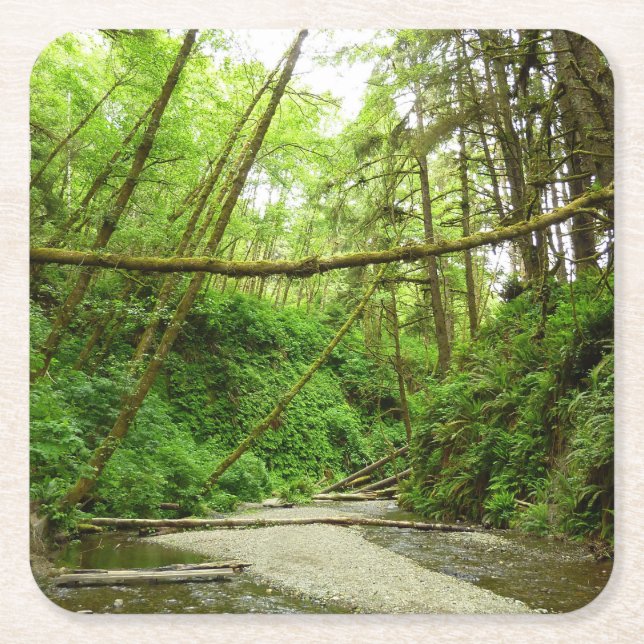 Fern Canyon I im Redwood National Park Rechteckiger Pappuntersetzer (Vorderseite)