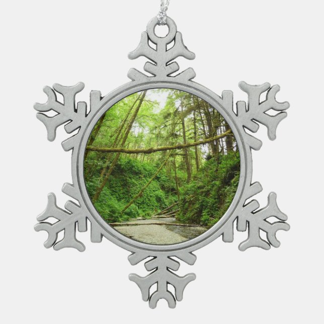 Fern Canyon I im Redwood National Park Schneeflocken Zinn-Ornament (Vorderseite)