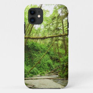 Fern Canyon I im Redwood-Nationalpark Case-Mate iPhone Hülle