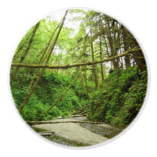 Fern Canyon I im Redwood-Nationalpark Keramikknauf