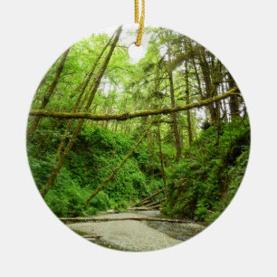 Fern Canyon I im Redwood-Nationalpark Keramikornament