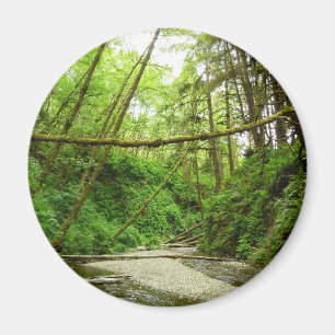 Fern Canyon I im Redwood-Nationalpark Magnet
