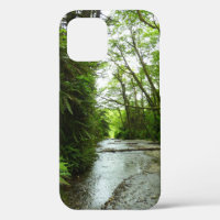 Fern Canyon II im Redwood-Nationalpark