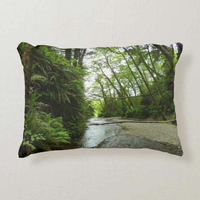 Fern Canyon II im Redwood-Nationalpark Dekokissen (Vorderseite)