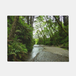 Fern Canyon II im Redwood-Nationalpark Fußmatte