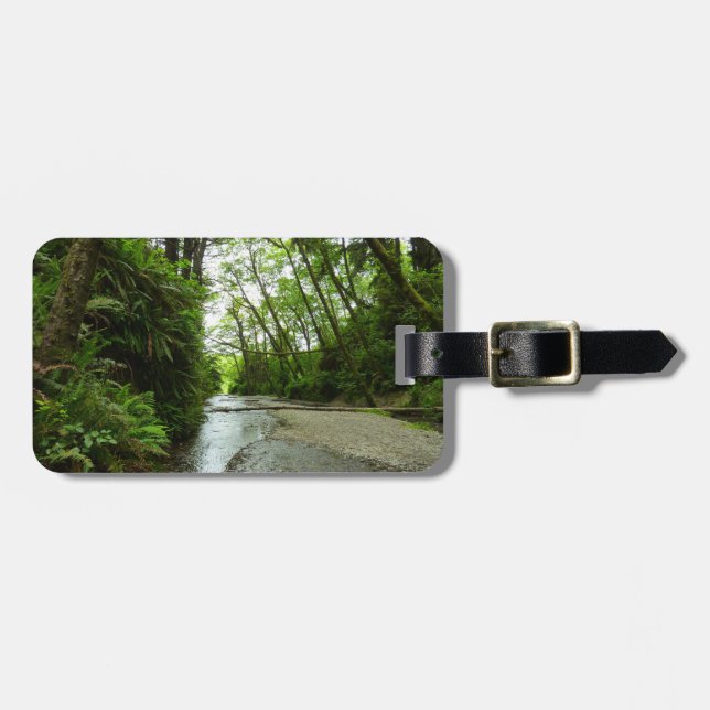 Fern Canyon II im Redwood-Nationalpark Gepäckanhänger (Vorderseite horizontal)