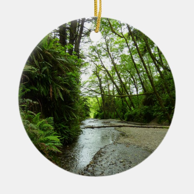 Fern Canyon II im Redwood-Nationalpark Keramikornament (Vorne)