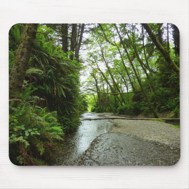 Fern Canyon II im Redwood-Nationalpark Mousepad (Vorne)