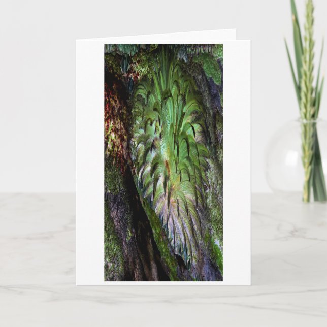 "Fern": Digital erweitertes Fern im Wald/Wald Karte (Vorderseite)