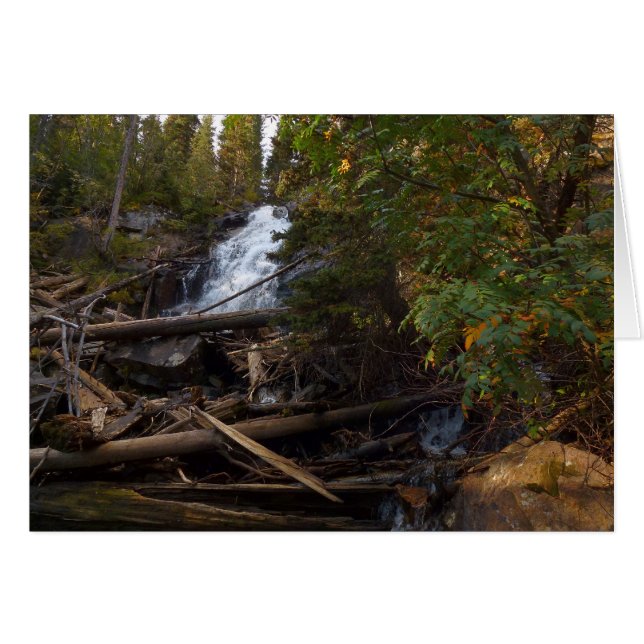 Fern Falls at Rocky Mountain National Park (Vorderseite (Horizontal))